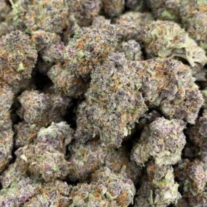 Stoney Patch gummies